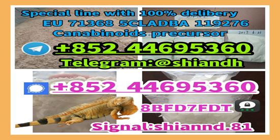 Balta  raw materials 5cladba adbb 4f 5-PPDi powder with fast delivery , Covasna